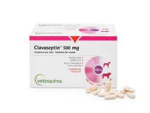 Clavaseptin-500mg