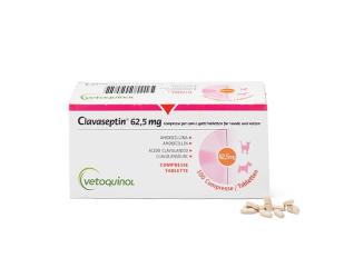 Clavaseptin-62,5mg