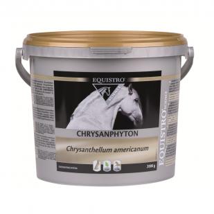 Equistro Chrysanphyton