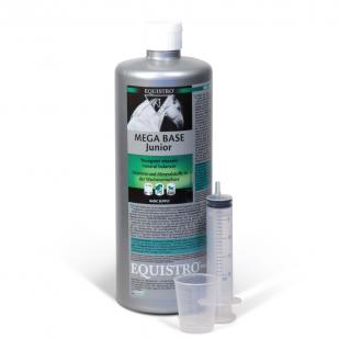 Equistro mega Base Junior