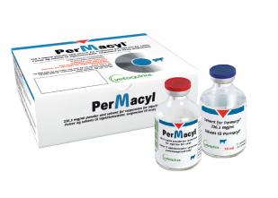 packshot_permacyl